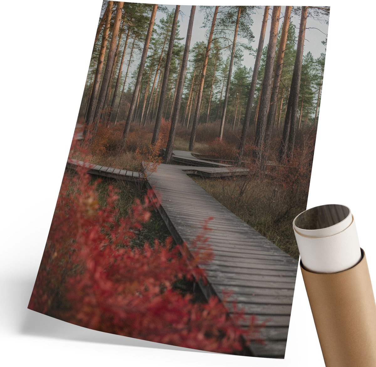 Coloray Polycanvas Poster - Bosweg, Fotografie - 210 x 297 mm - Bruin Motief - Rechthoek - Decoratieve poster - Woonkamer, Slaapkamer, Kantoor - Klassiek