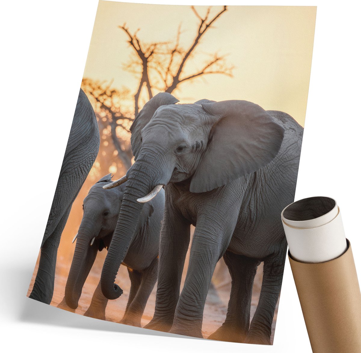 Wallfluent Polycanvas Poster - Zwarte Hond, Fotografie - 297 x 420 mm - Zwart Illustratie - Rechthoek - Kunstposter - Woonkamer, Slaapkamer, Kantoor - Expressief
