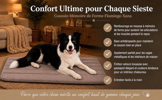 Bordercollie op een bruin fluwelen kussen met productvoordelen zoals traagschuim en antislipbodem in een woonkamer.