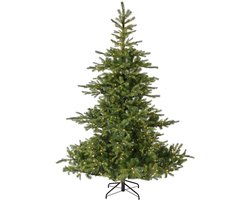 Everlands Grandis fir - H 270 cm D 172 - LED verlichting warm wit