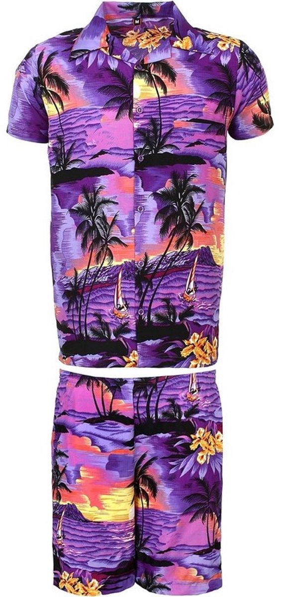 Heren Hawaii Hawaii Aloha Party Zomer Outfit Kort Set
