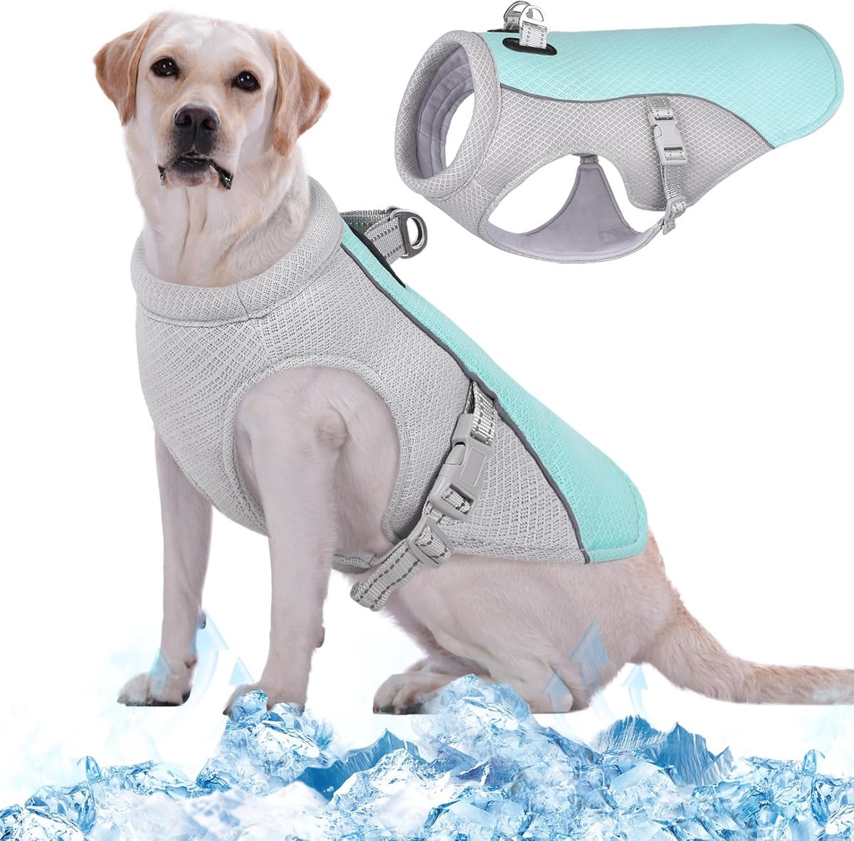 Koelvest voor honden, koeljas voor honden, ademend koelvest voor huisdieren, zomervest voor honden, voor outdooractiviteiten