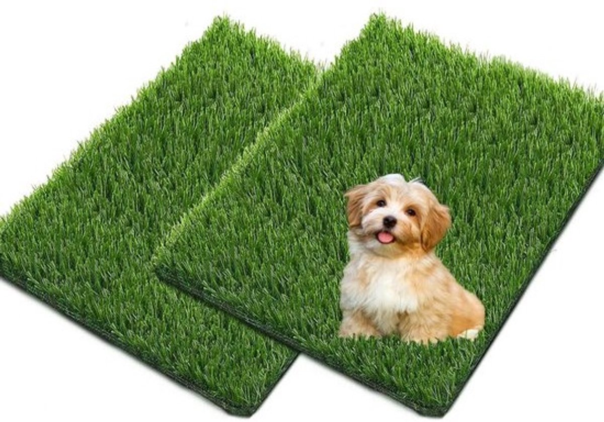 Hondentoilet kunstgras - Zindelijkheidstraining hond - Geurafstotend - Woon accessoire