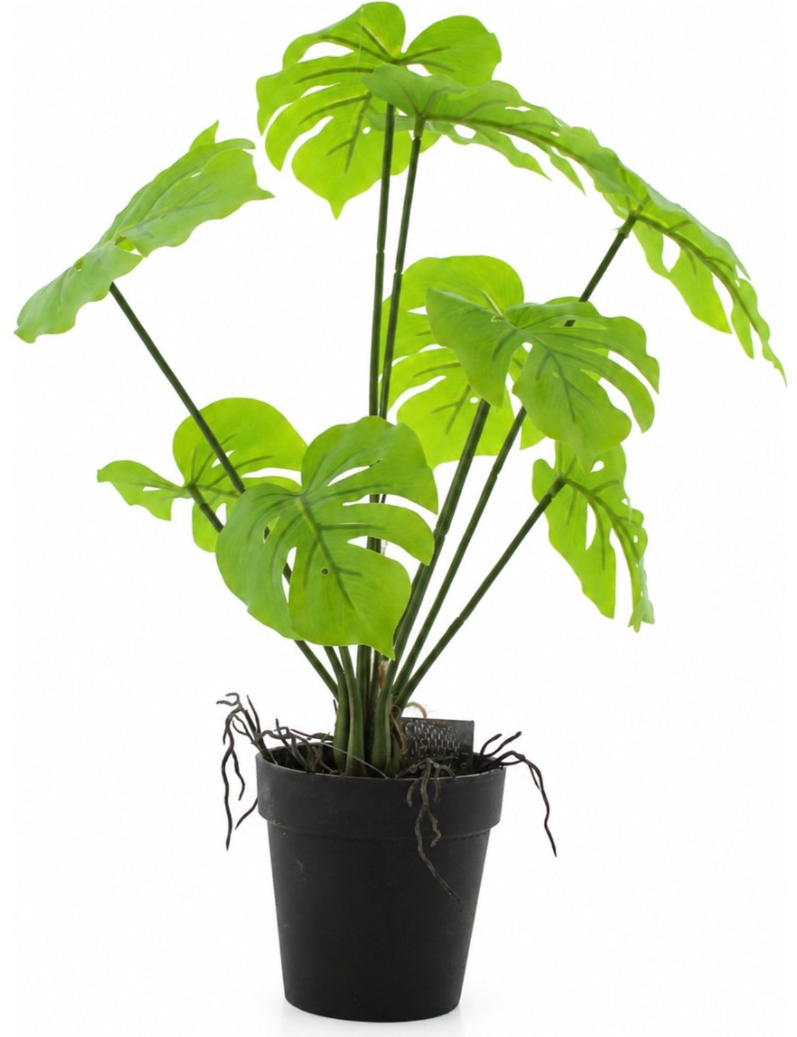 van der Leeden Monstera in pot 35 cm - kunstplant