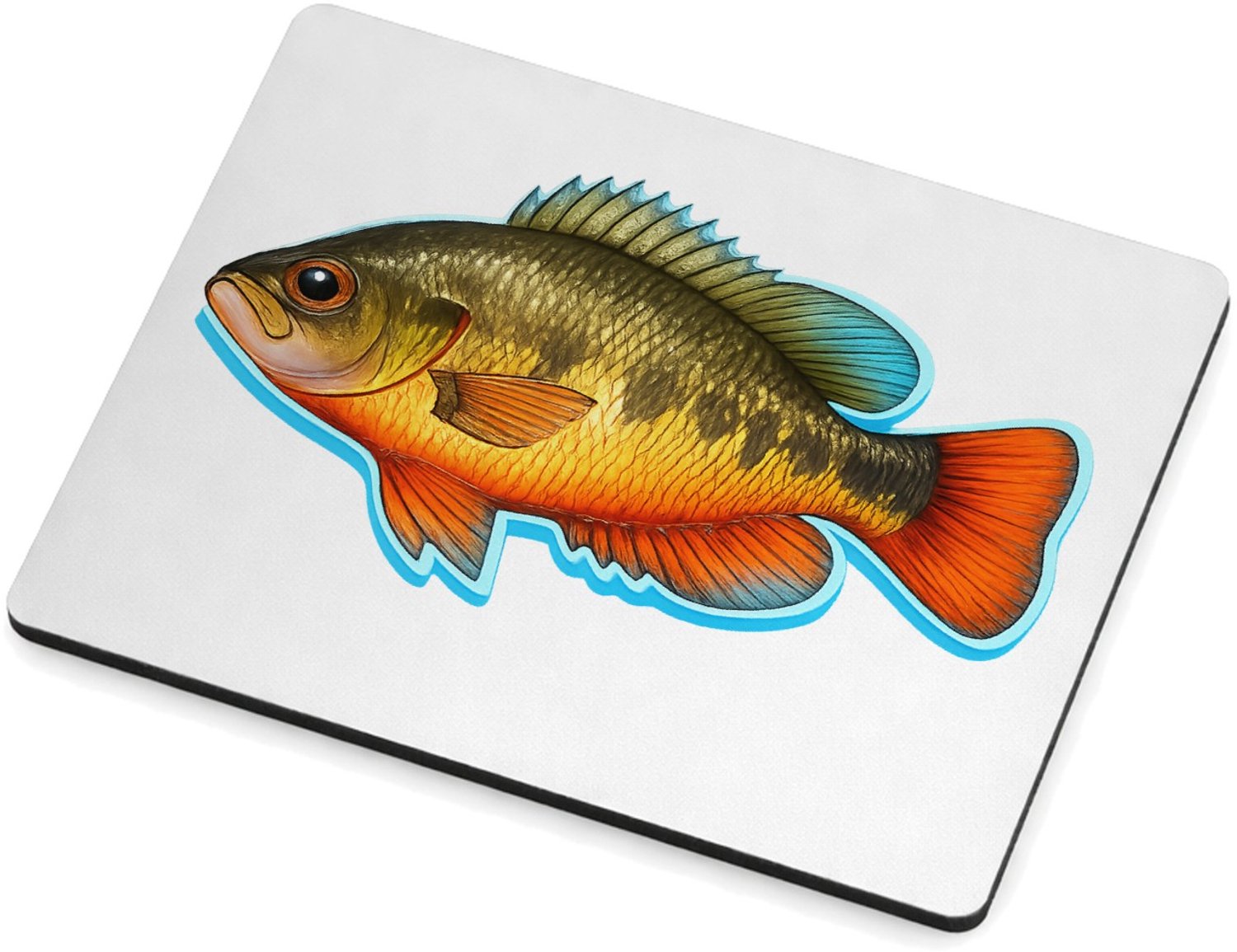 Mr Cadeautjes MDF magnetische fotolijst 9 x 7 - design Een realistische papegaai zijaanzicht met tropische kleuracc | cadeau Wit