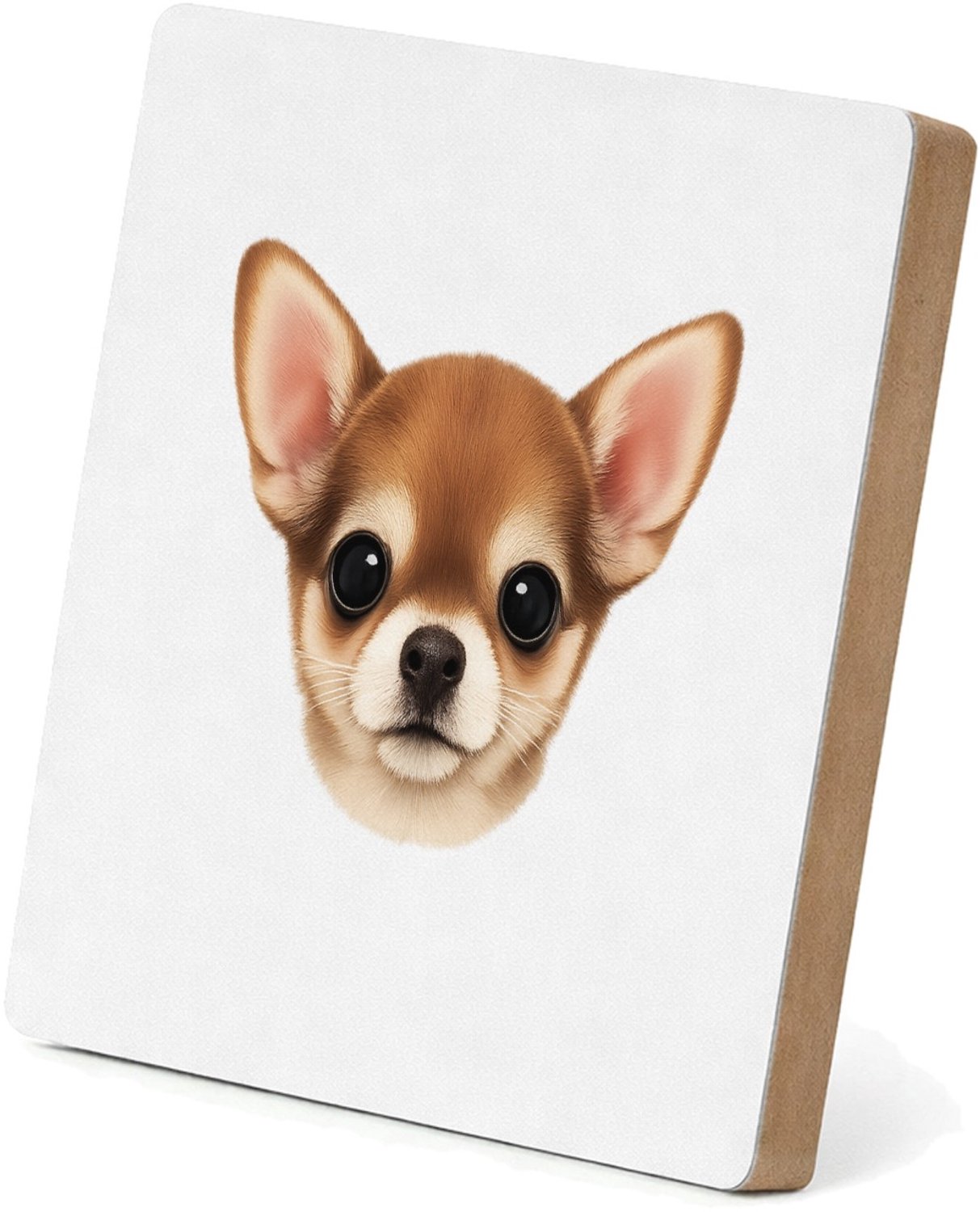 Mr Cadeautjes MDF staande fotolijst 15,2 x 15,2 - design Een klein, centraal portret van een nieuwsgierige kat met ro | cadeau Wit