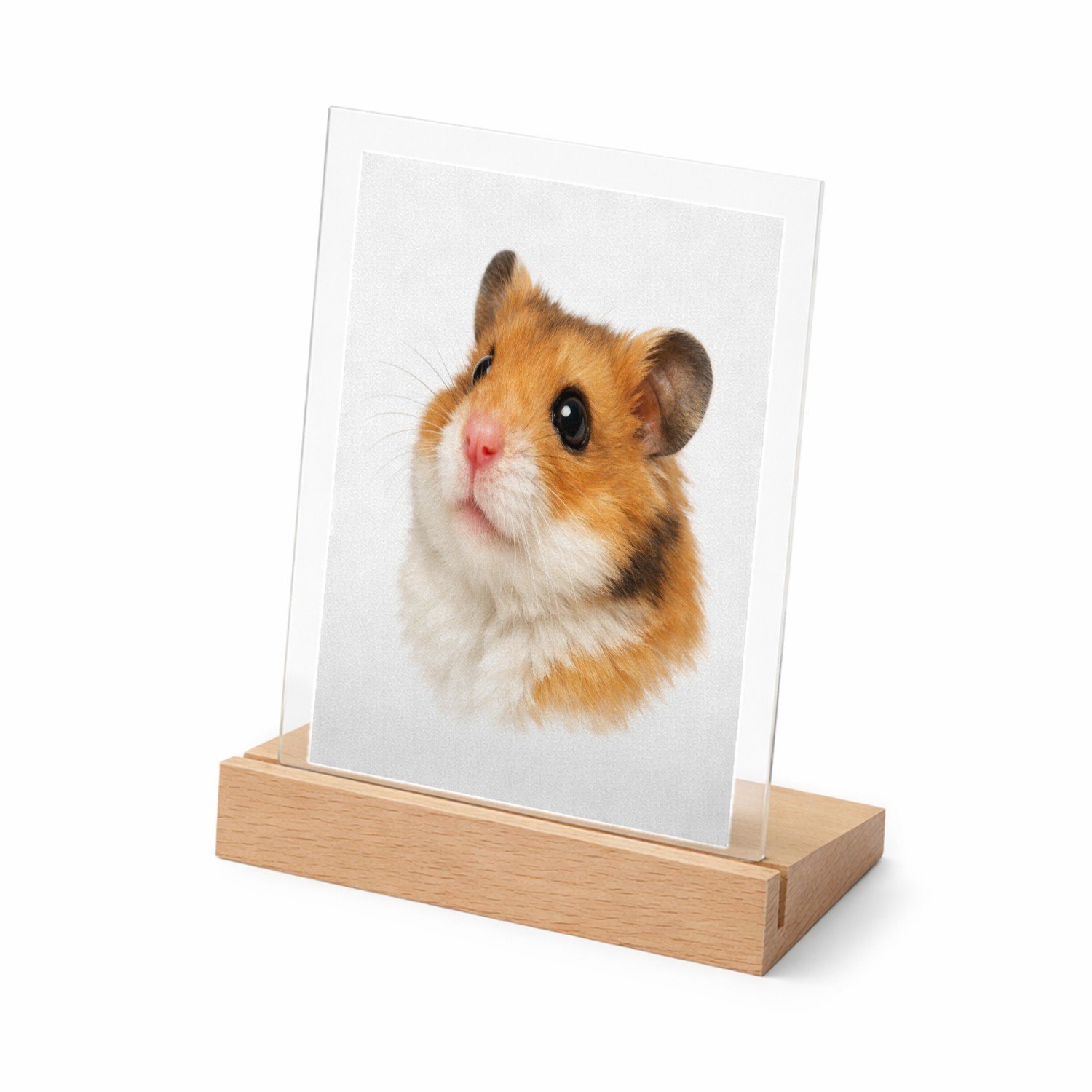 Mr Cadeautjes Glasframe met vaste tekst - design Monumentaal huisdierportret met warme close-up en diepe donk | cadeau Wit