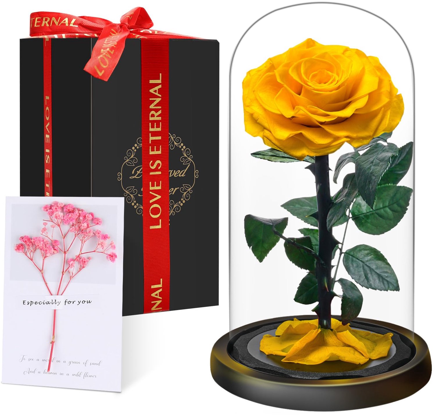Premium Eeuwige Roos in een Glas met Geschenkdoos | Echte Geconserveerde Bloem Handgemaakt gedurende 5 Jaar | Uniek Cadeau voor Moeder, Oma als Teken