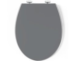 Pipishell WC-bril, toiletdeksel met softclosemechanisme (Grijs)
