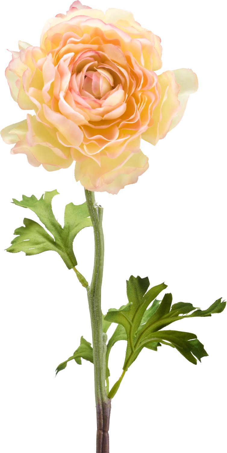 Easyplants | Kunstbloem Ranunculus 51 cm zalm roze | Zijde | Nepbloemen | roze | Onderhoudsvrij | Kant-en-klaar