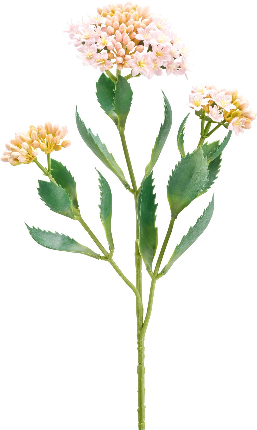 Easyplants | Kunstbloem Kalanchoe 47 cm roze | Zijde | Nepbloemen | roze | Onderhoudsvrij | Kant-en-klaar