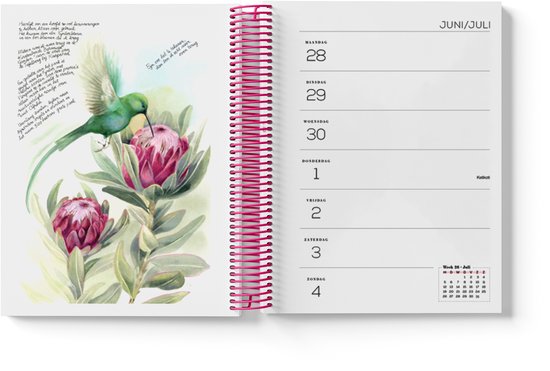 Agenda met spiraalbinding, pagina met een kolibrie en twee protea's, met datum 28 juni.