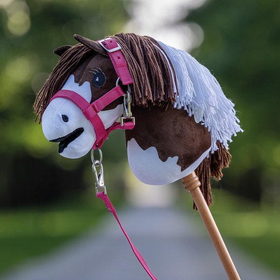 Close-up van een bruin-wit hobby horse met bruine manen, witte lokken en roze hoofdstel.