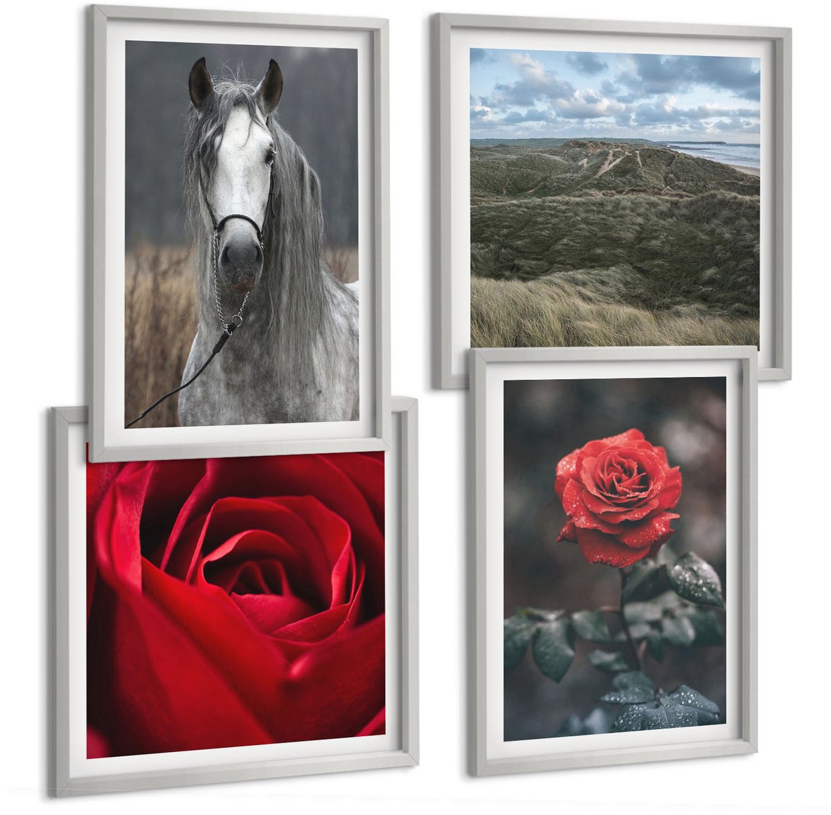Coloray 4-Delige Schilderij Set - Rode Rozen En Een Paard In Een Grijze Omgeving - 40 x 40 cm En 40 x 60 cm - Schilderijen Set - Wanddecoratie - Woonkamer - Woonkamer Decoratie