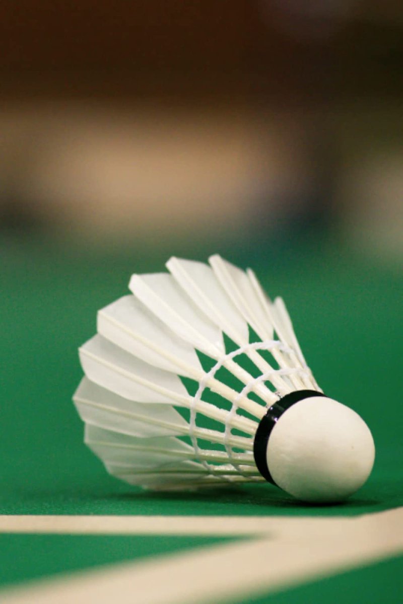 Badminton Training Playbook: Coach Diary, Battledore, Shuttlecock, Birdie Record Book. Court Diagrams for Drawing Up - ShopVlot