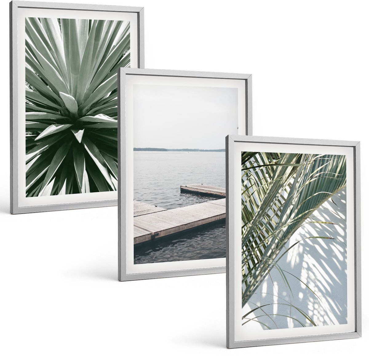 Coloray 3-Delige Schilderij Set - Palmbladerenplant En Houten Brug - 40 x 60 cm - Wanddecoratie - Schilderijen Set - Interieur - Decoratieve Schilderijen