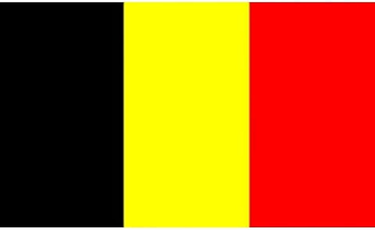 Vlag Belgie 60 x 90 cm