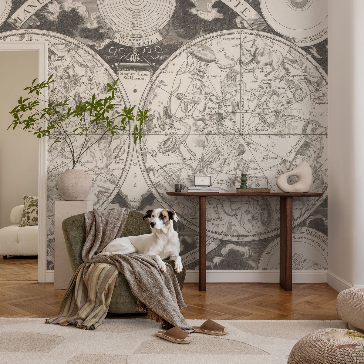 Coloray Vliesbehang - Zwart-Wit Snellijm Behang - 104x70 cm - Sterrenkaart Muurschildering - Slaapkamer behang Kosmos - Fotobehang Vlies - Gang behang