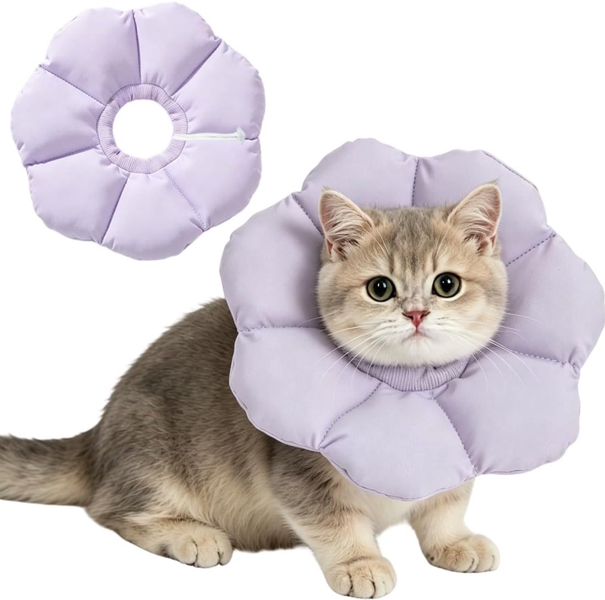 maat M, instelbare lekbescherming voor katten, zachte halsband voor katten, kleine honden na operatie, Elizabethaanse kraag, paars