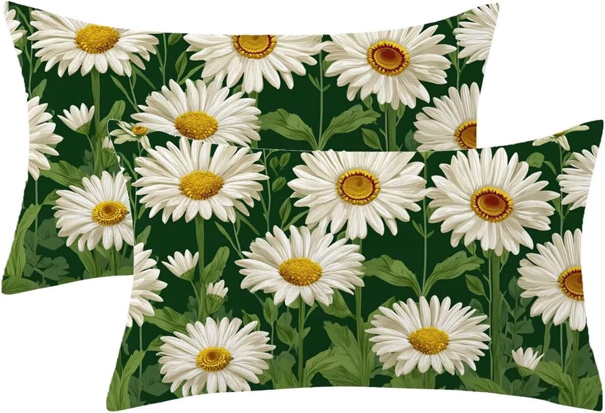 Set van 2 kussenslopen voor bank, 50 x 80 cm, groen madeliefjespatroon, fluweel met verborgen ritssluiting, decoratie voor slaapkamer, woonkamer, huisdecoratie, cadeau voor dames, model 1166