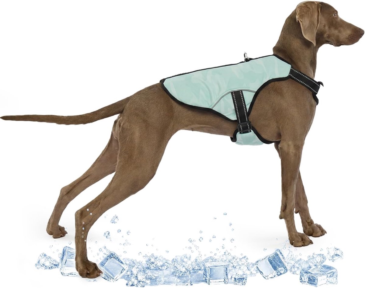 Zomer hondenjas, zomer koelvest puppy zonwering ademend mesh ijsvest verstelbare bandjes ademende koele jassen voor honden (XL)