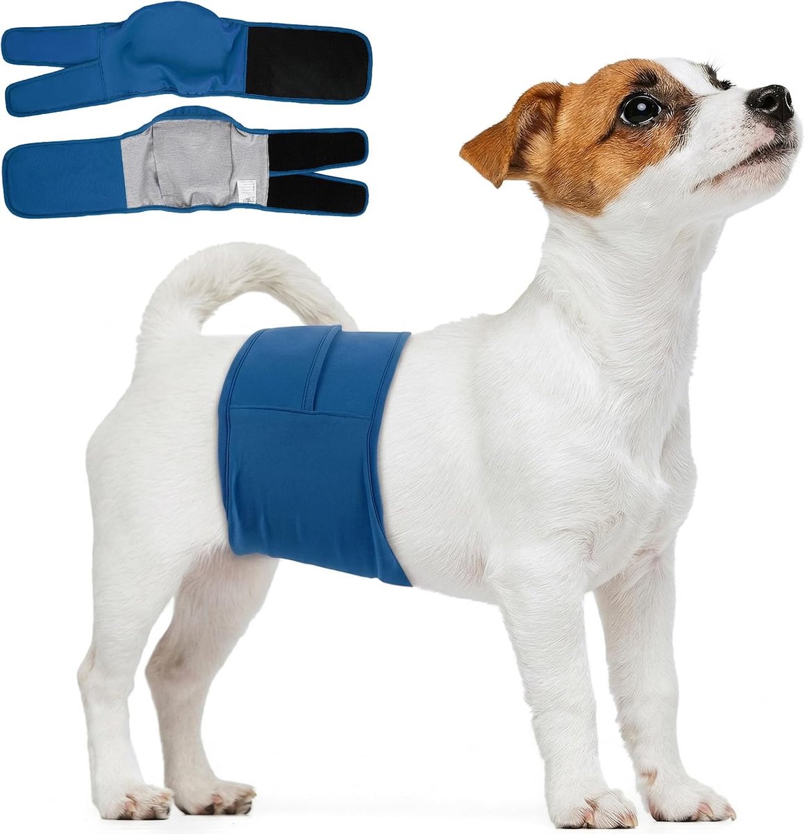 Luiers voor jongens, luiers voor mannen, blauw