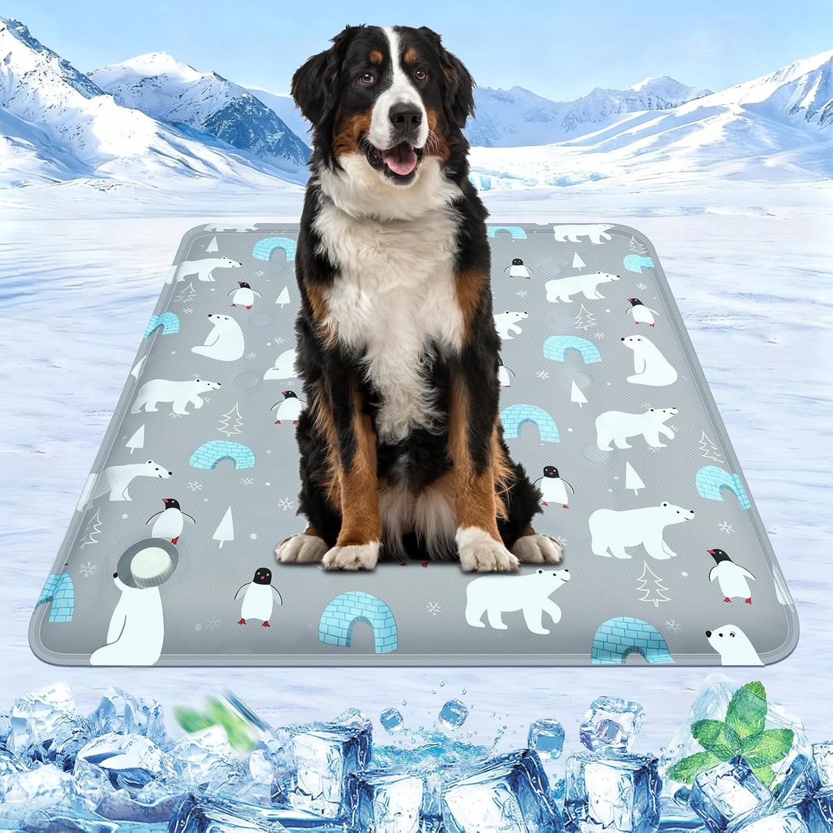 Koelmat voor honden en katten, zelfkoelende hondenkoelmat, zelfkoelende deken voor hond en kat, met niet-giftige gel, koelkussen, hondenmat, voor honden, zelfkoelende huisdiermat(60x90cm)