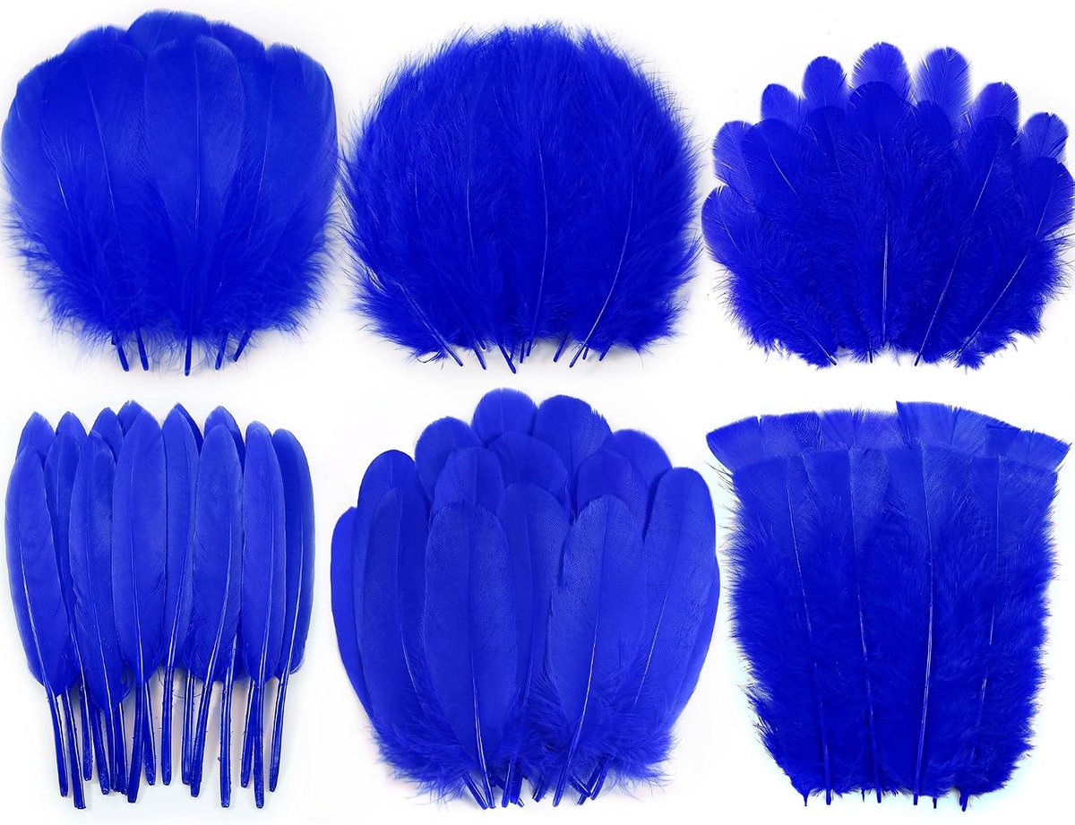 Blue Craft Feathers Bulk - 240 stuks 6 stijlen natuurlijke decoratieve veren voor bruiloft thuisfeest, dromenvanger benodigdheden en doe-het-zelf ambachten (blauw)