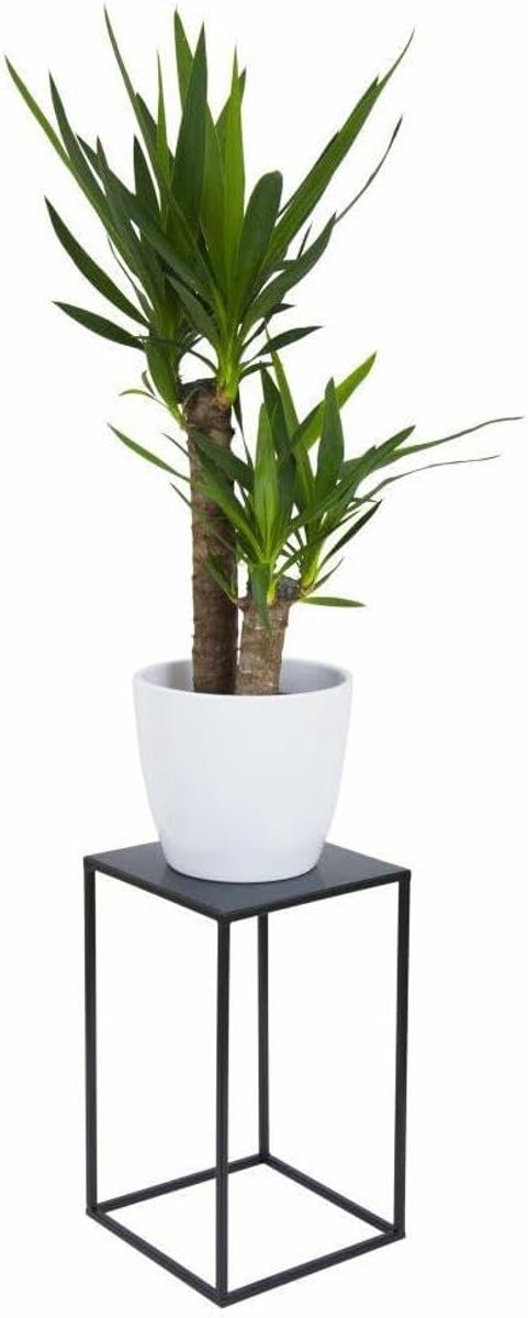 bloemenstandaard van metaal, 40 cm, zwart