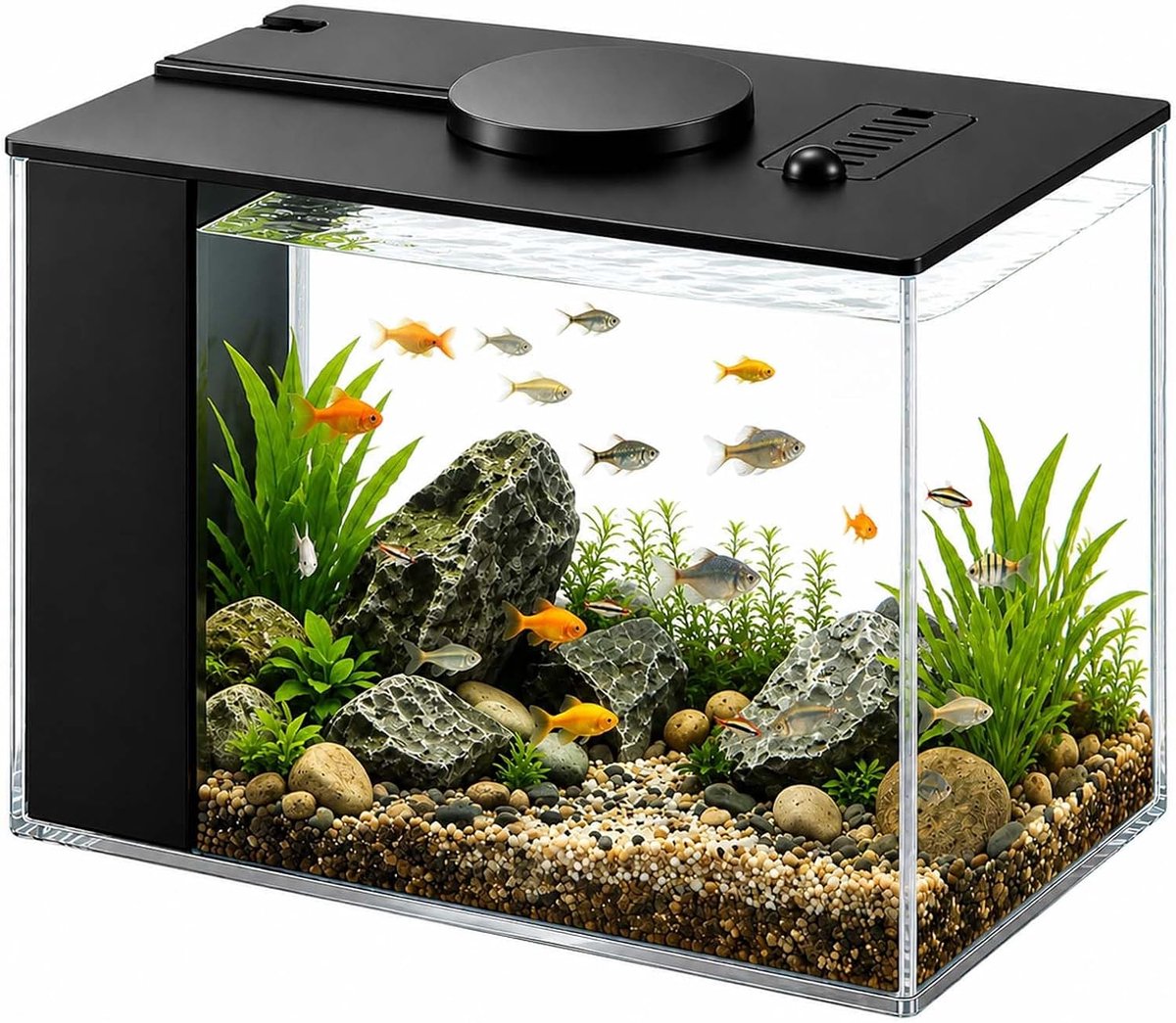 3,7 l klein Betta aquarium, complete set, mini-aquarium van acryl met filterpomp en ledverlichting voor kleine vissen, garnalen en planten (20 x 15 x 15 cm, zwart)