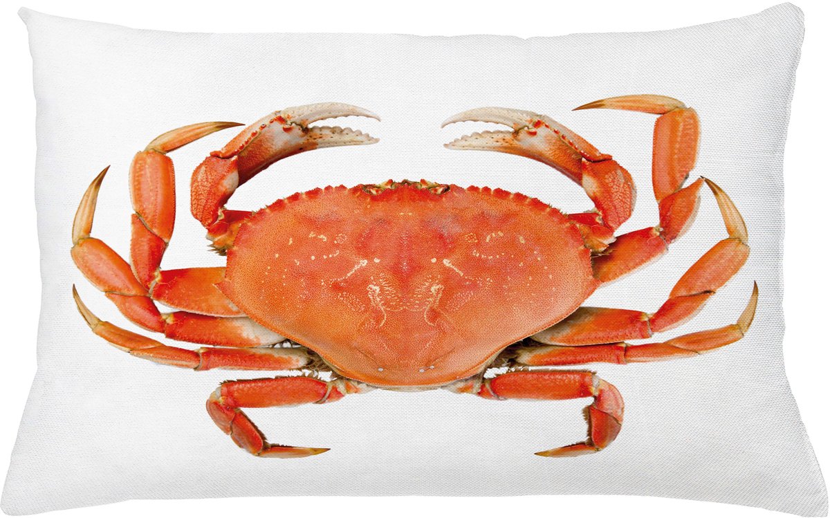 ABAKUHAUS National Kussenhoes, Gekochte Dungeness Crab, Decoratieve Kussenhoes met Dubbelzijdige Print, Ritssluiting, Wasbaar, 65 x 40 cm, Oranje Wit