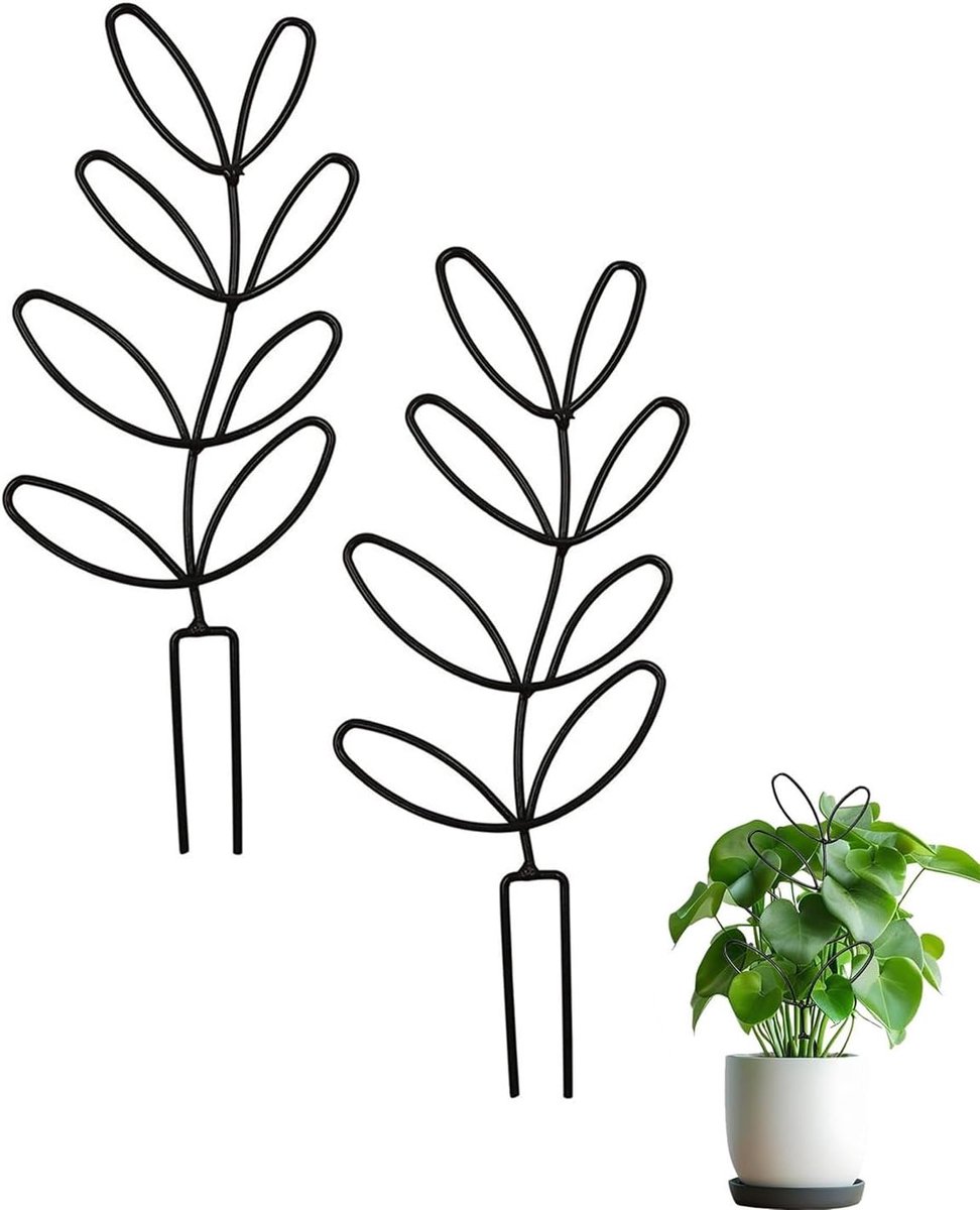 2 stuks rankhekje voor potplanten, klimhulp voor kleine klimplanten, rankrooster voor planten, rankrooster, decoratie voor klimplanten