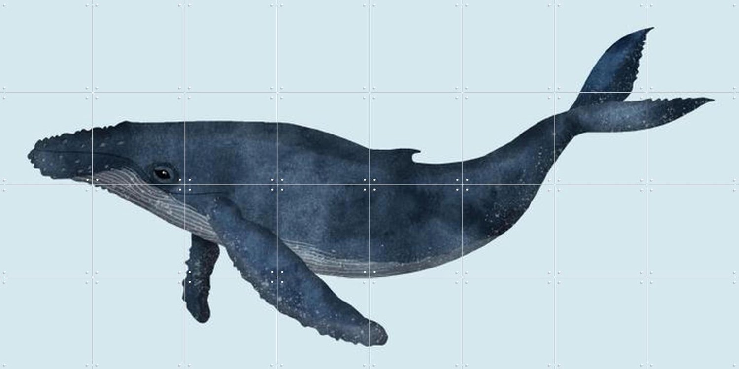 IXXI Whale, Merel Corduwener - 160 x 80 cm - Grote wanddecoratie en posters - Illustraties, Aquarel, Illustraties, Badkamer, Woonkamer, Natuur Blauw