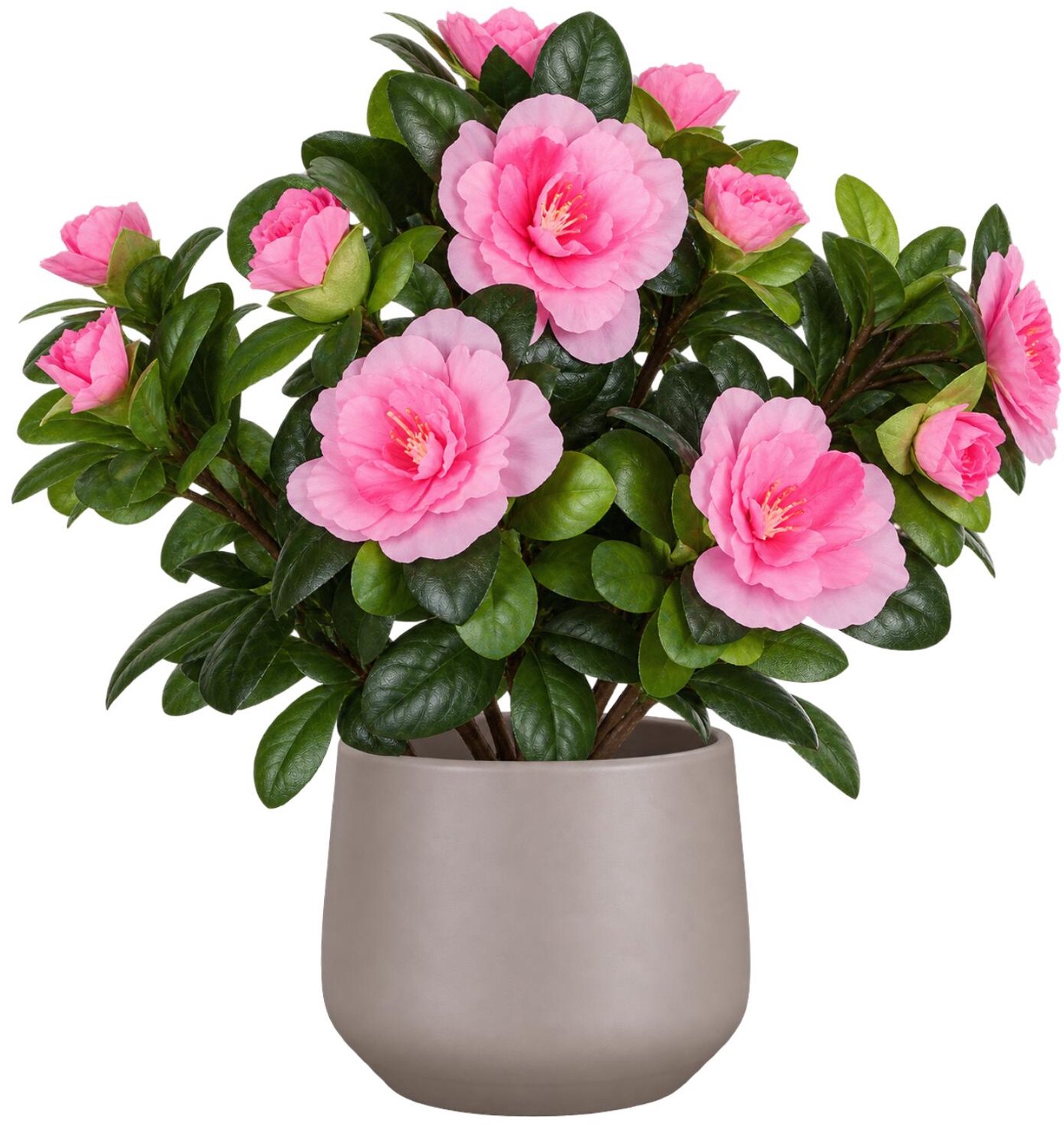 Mica Decorations Kunstplant - Azalea roze - H27 cm - in beige bloempot - keramiek - complete set van pot en plant - decoratie stuk