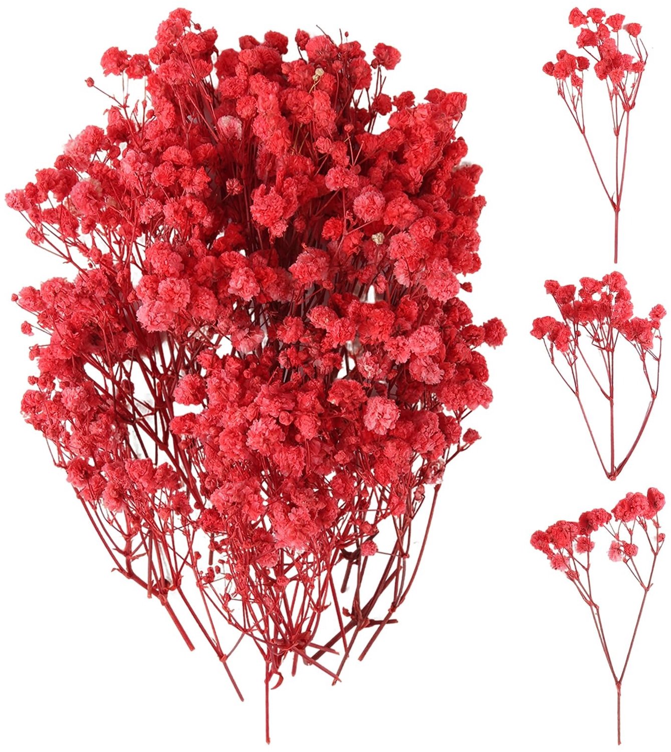 Famanu Gedroogde gypsophila bloemen set met 100 stuks voor decoratie en kunst