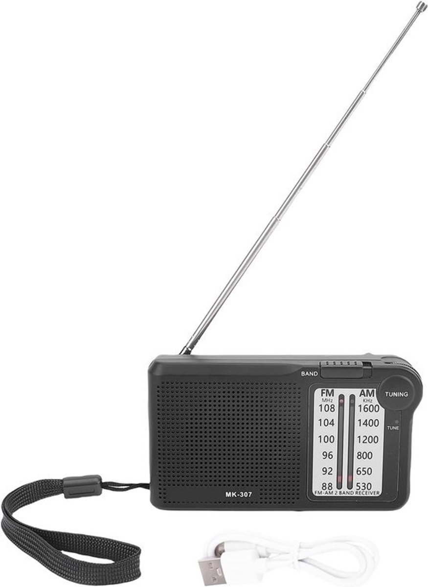 Draagbare radio - AM FM-ontvanger - Voor studie buiten - Oplaadbare batterij - 13 x 9 x 4 cm - Zilver