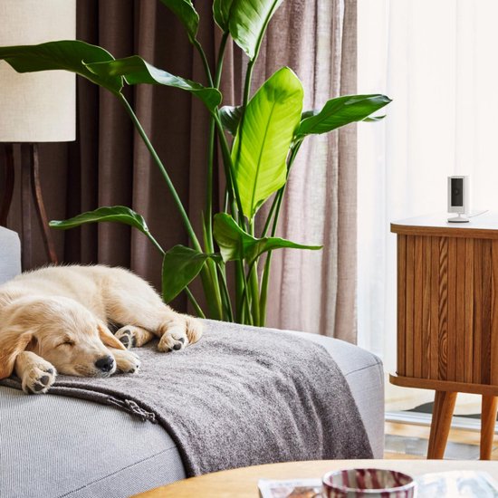 Ring Battery Video Doorbell 2K met Chime en 2-pack binnencamera op batterij - Bundel — afbeelding 3