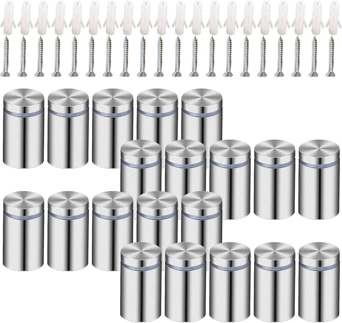Set van 20 Roestvrijstalen Hangschroeven voor Wandmontage van Acryl Fotolijsten, 12x25mm Bevestigingsschroeven voor Foto's en Advertenties