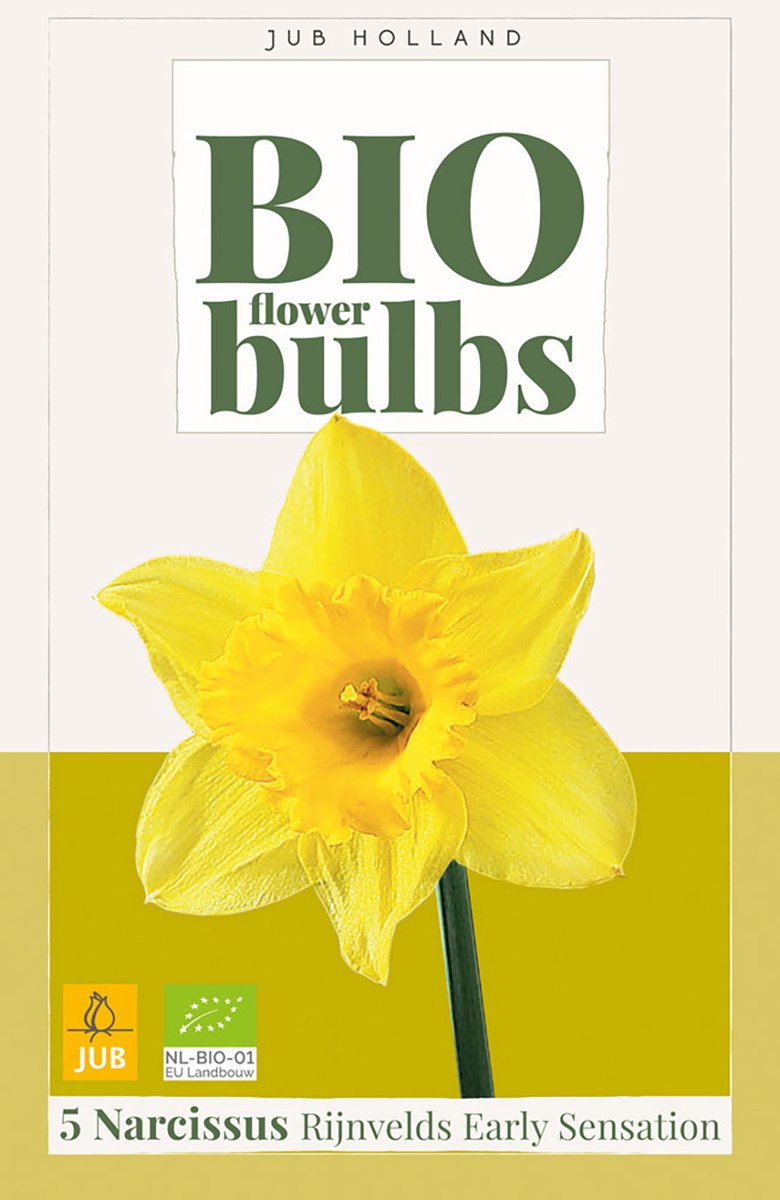 Narcissus rijn. early sens. bio bloembol JUB 5 stuks