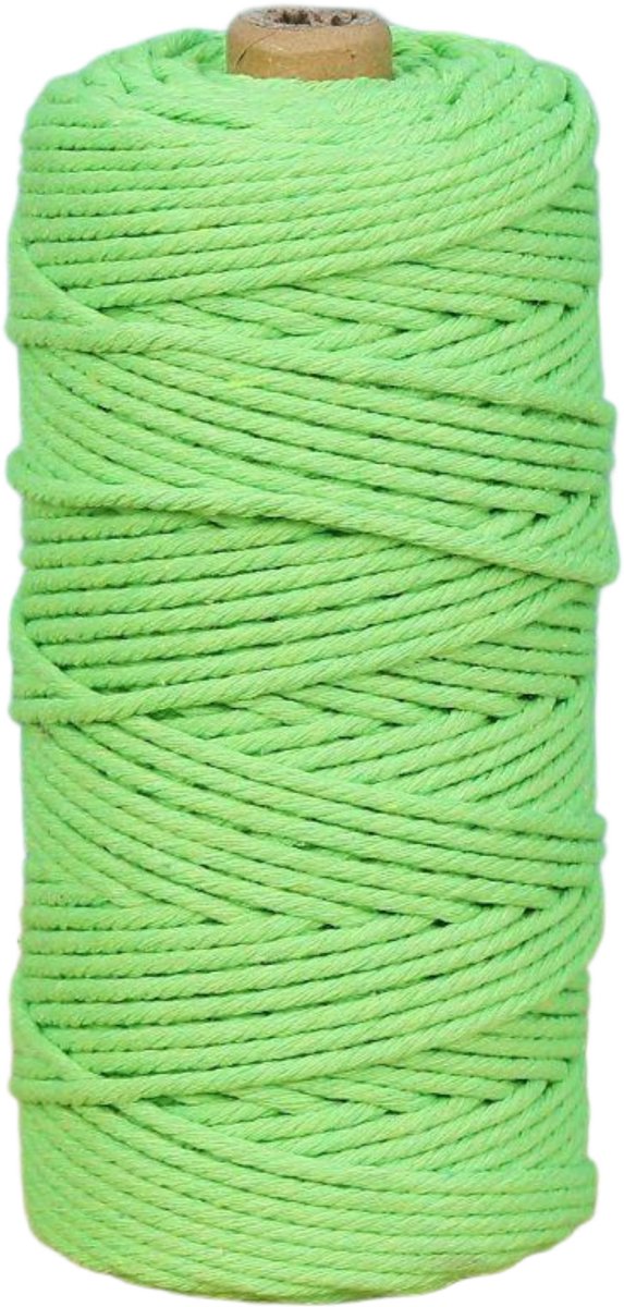 Macramétouw 3 mm x 100 m, natuurlijk katoenen draad voor wanddecoratie, plantenhangers, boho-decoratie,Appelgroen