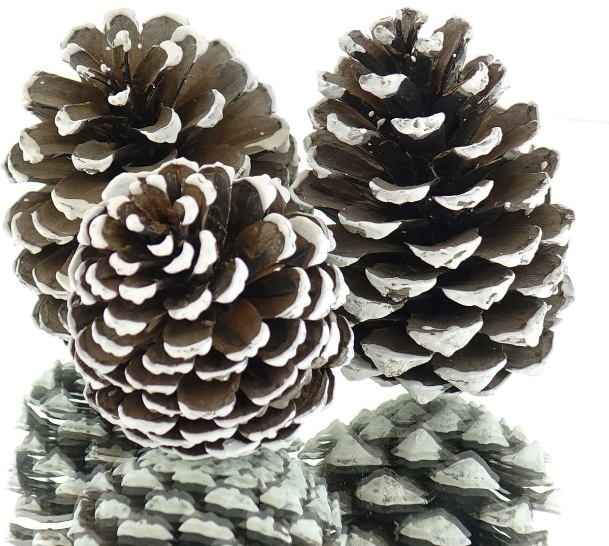 Kaemingk Kerstdecoratie Dennenappels Naturel met Witte Punten 3-delig