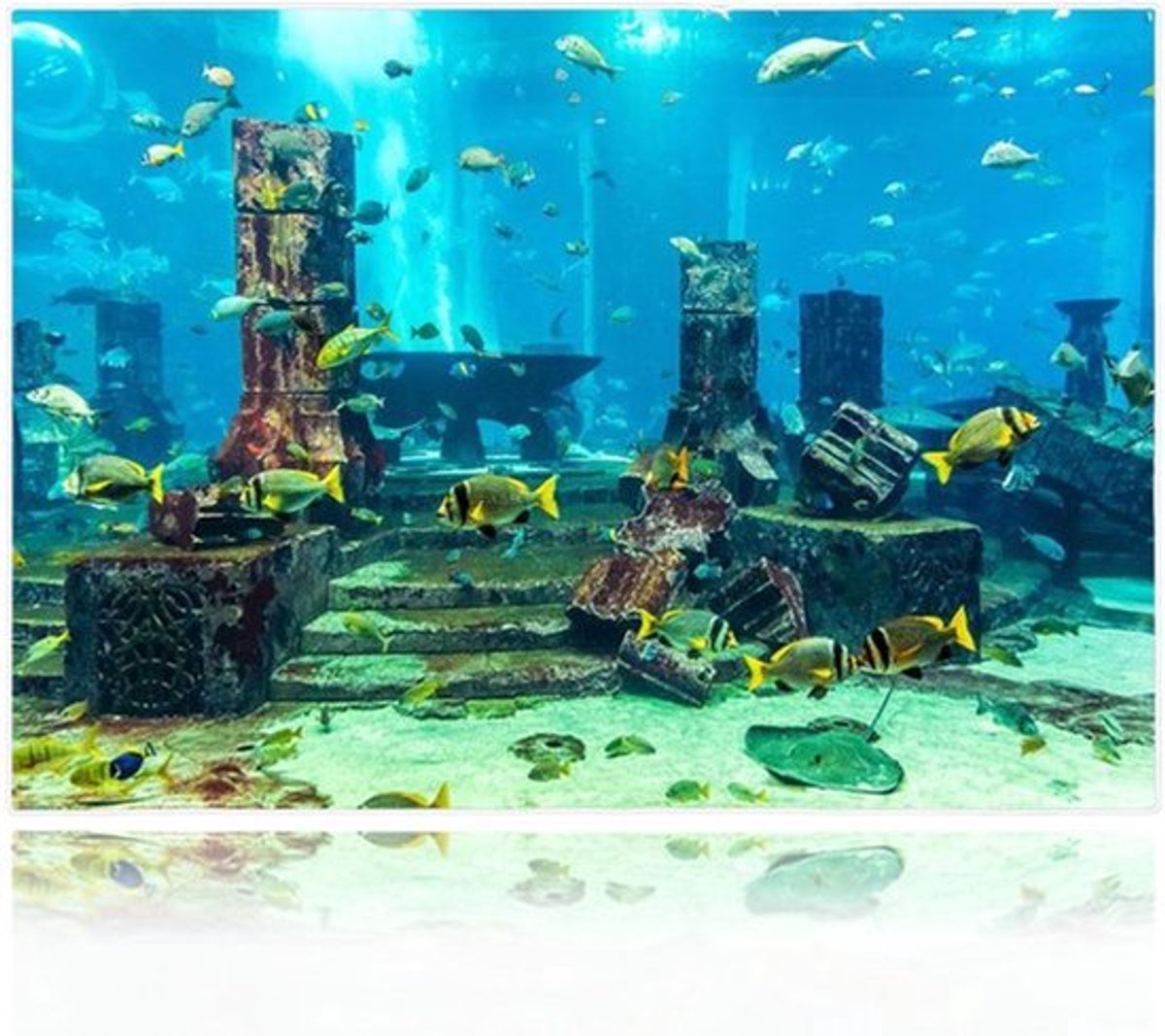 Dailygoody - Aquarium Sticker - Onderwater Achtergrond - Pvc Koraal