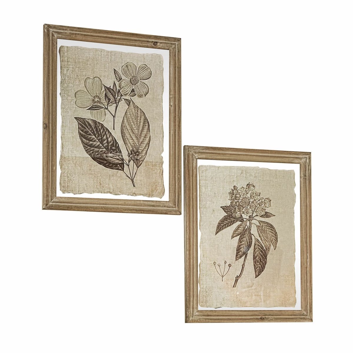 LOBERON Afbeelding set van 2 Guyra beige/bruin