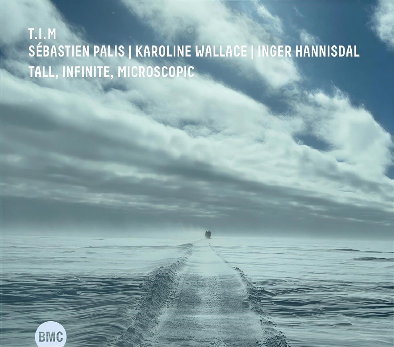 T.I.M. - Tall, Infinite, Microscopic (CD)