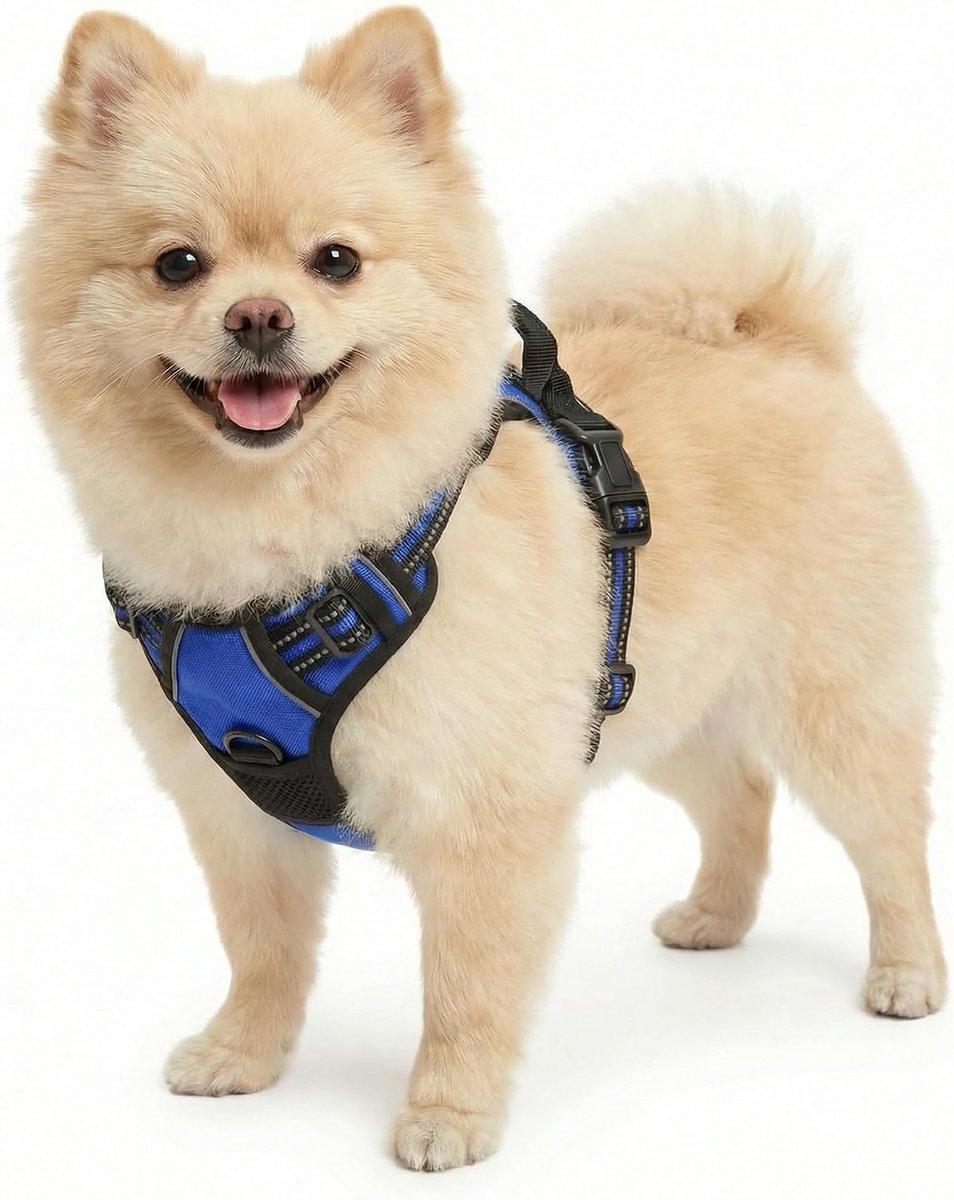 Hondentuigje voor kleine honden, anti-trek borsttuig Verstelbaar puppytuig, anti-trektuig met handgreep en reflecterende strepen, No Pull tuig voor kleine, middelgrote, grote blauwe S