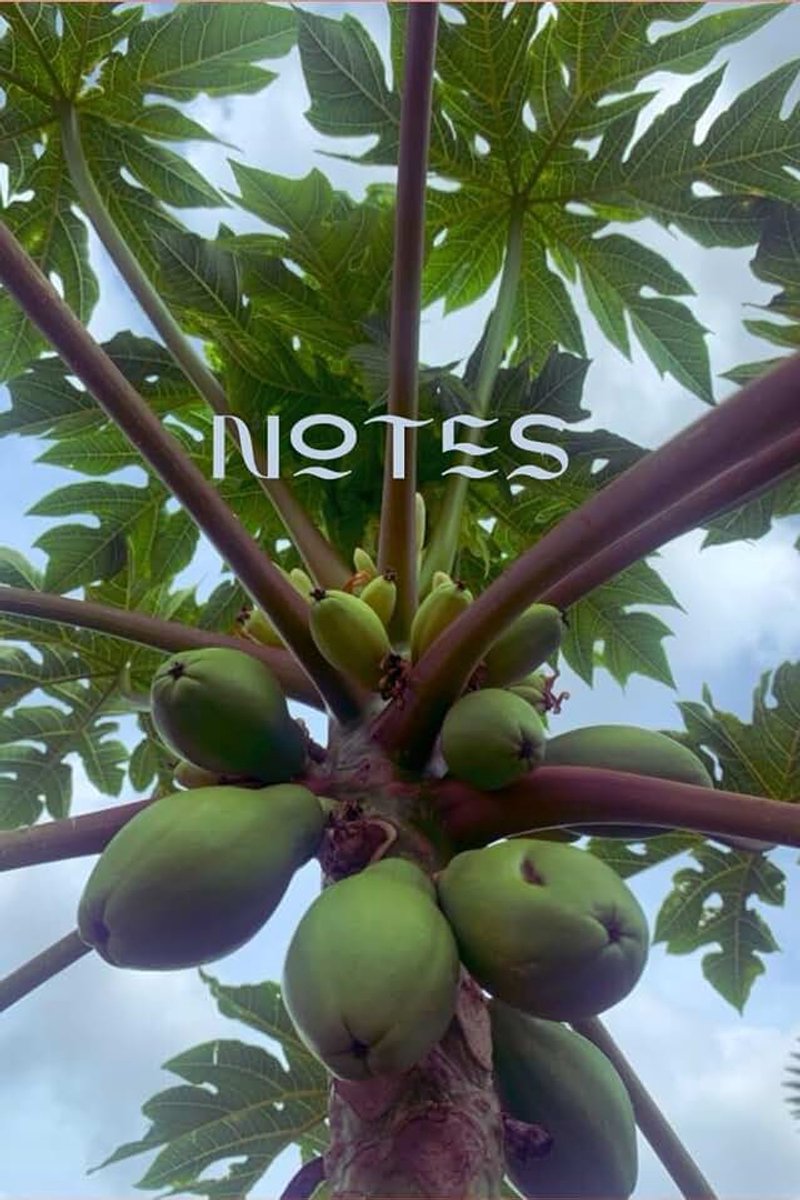 Papaya Sky: Notebook