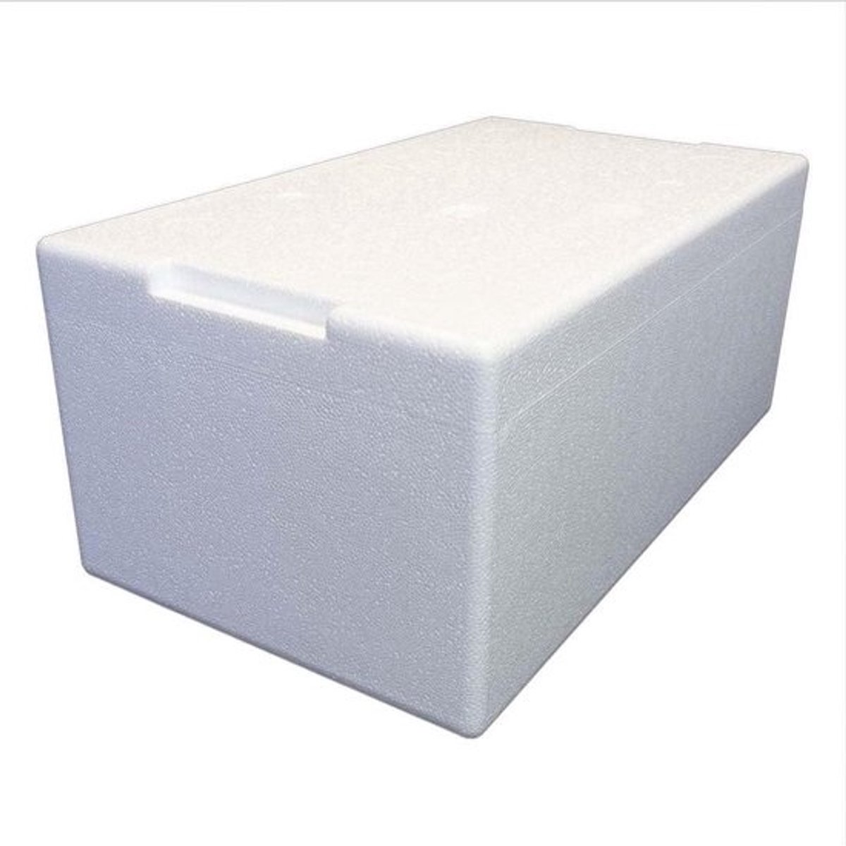 Thermobox 22 liter - Ideaal voor het vervoer van reptielen en insecten - 55 x 32 x 24 cm