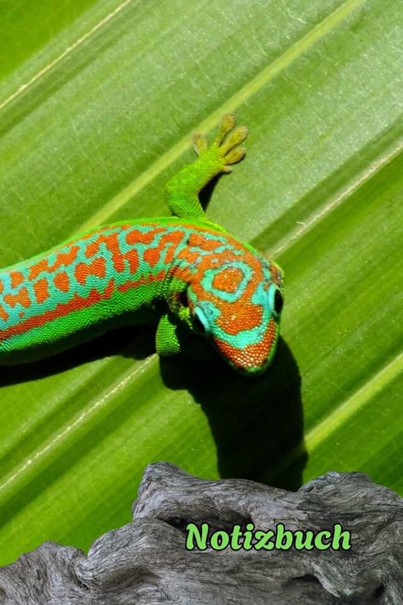 Notizbuch Amphibien Taschenbuch Echsen Leguane Fotoalbum Geckos Frosch Kröten Unken Hobbyzüchter Geschenkidee Warane Eidechsen Zeichenbuch ... Tagebuch Molche Notizheft Geschenkbuch 02B20