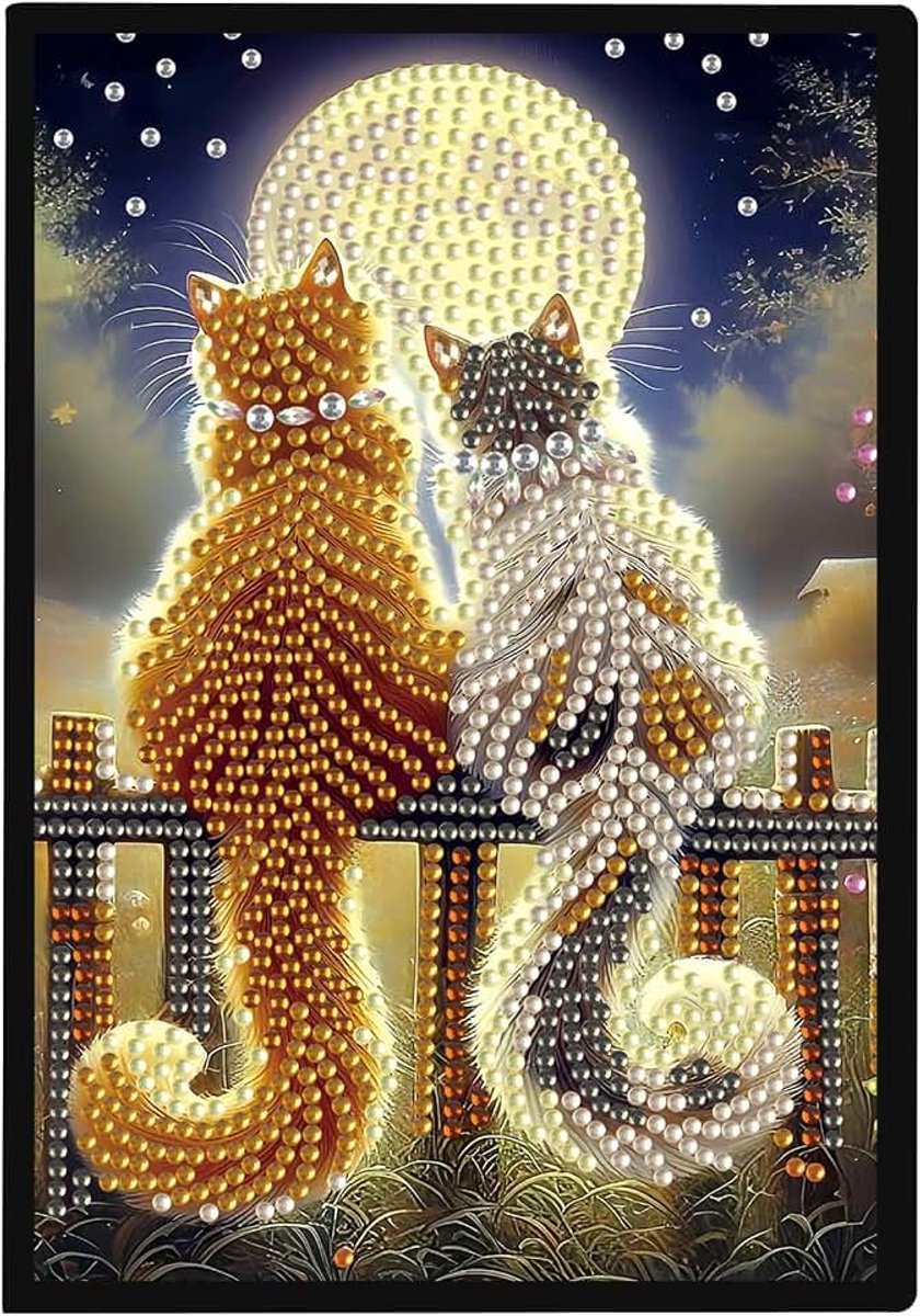 Painting, A5, blanco diamond painting, notitieboek, diamondpainting, notitieboek, diamond painting, strass, speciale stenen, dagboek, meisjes, cadeaus (kat en maan)