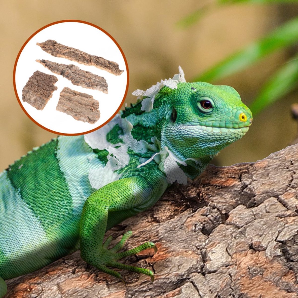 Reptielen-boomschors, klimhout, 4 stuks, natuurlijke boomschors, decoratieve klimhulpen voor reptielenterraria, aquaria, huisdiernest, lizard gecko, verborgen mogelijkheden